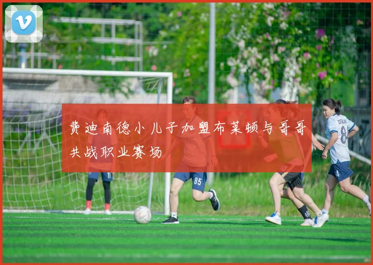 费迪南德小儿子加盟布莱顿与哥哥共战职业赛场