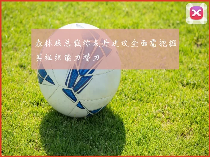 森林狼总裁称麦丹进攻全面需挖掘其组织能力潜力