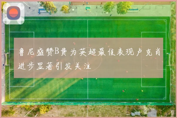 鲁尼盛赞B费为英超最佳表现卢克肖进步显著引发关注