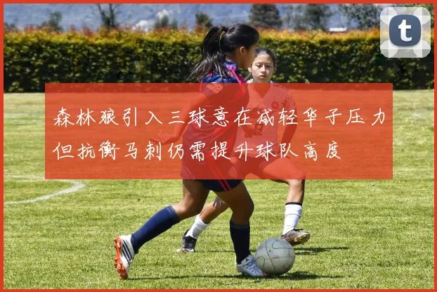 森林狼引入三球意在减轻华子压力但抗衡马刺仍需提升球队高度